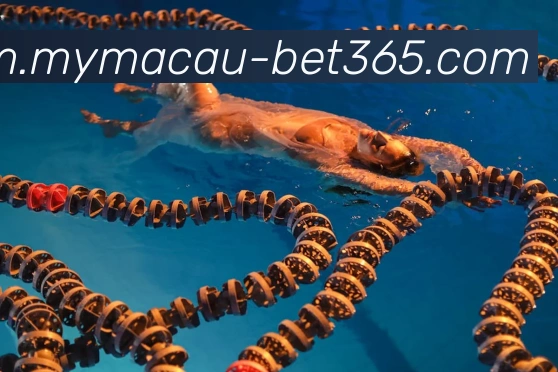 bet365平台生态图